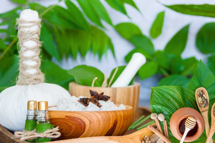 Ayurvedic Treatment for Osteoarthritis in Coimbatore